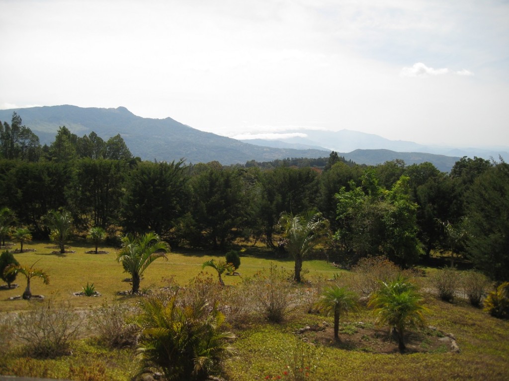 cabin view