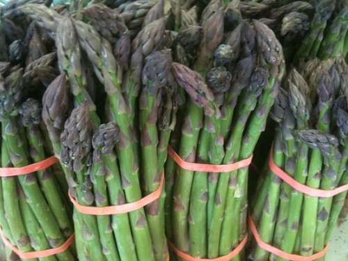 asparagus-photo