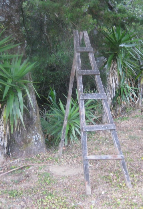 ladder with 3 legs