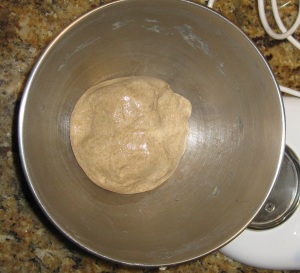 After kneading, oil the dough and allow to rise for about an hour until doubled in size