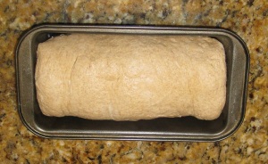 Place the loaf into an oiled pan and let rise until doubled in size, about 40 minutes